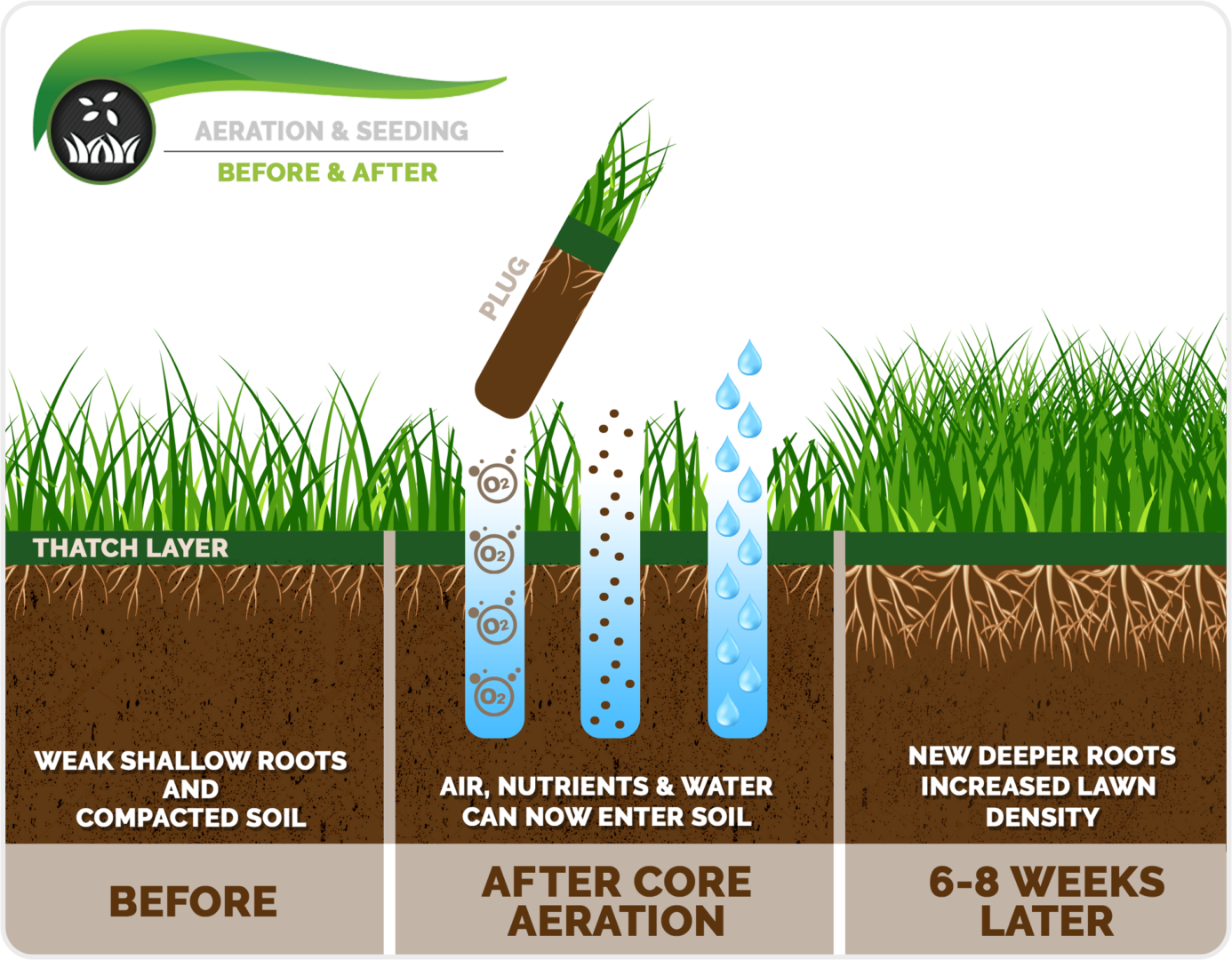 Aeration & Overseed AccuLawn Turf Health