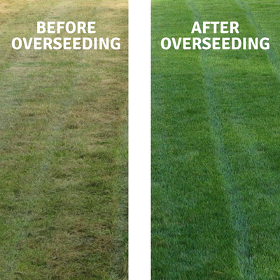 overseeding